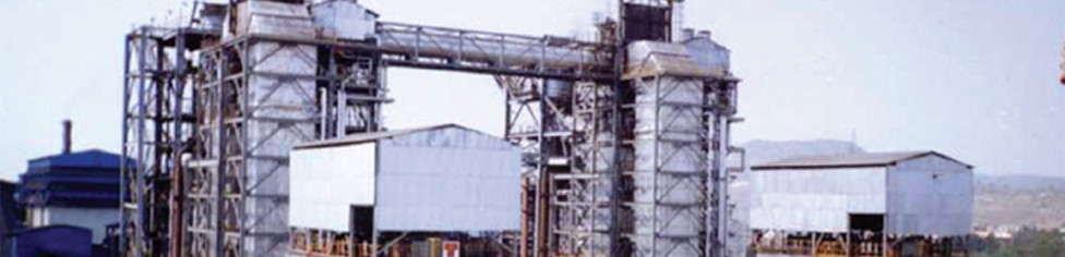 sponge_banner
